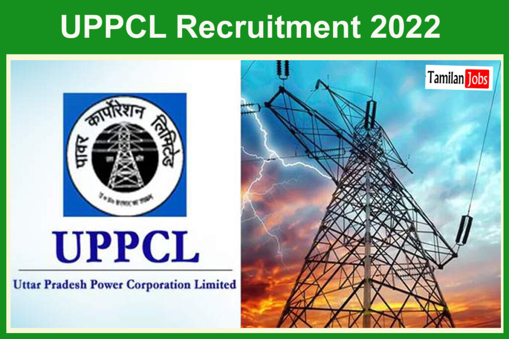 UPPCL Recruitment 2022- UPPCL में निकली 1033 पदों पर भर्ती, 19 अगस्त से आवेदन शुरू