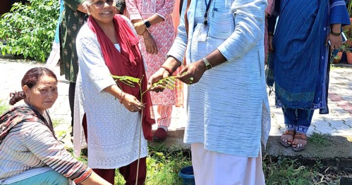 श्रीरामचंद्र सेवा संस्थान ने इस क्षेत्र में लगाए, औषधीय और छायादार के अनेक वृक्ष