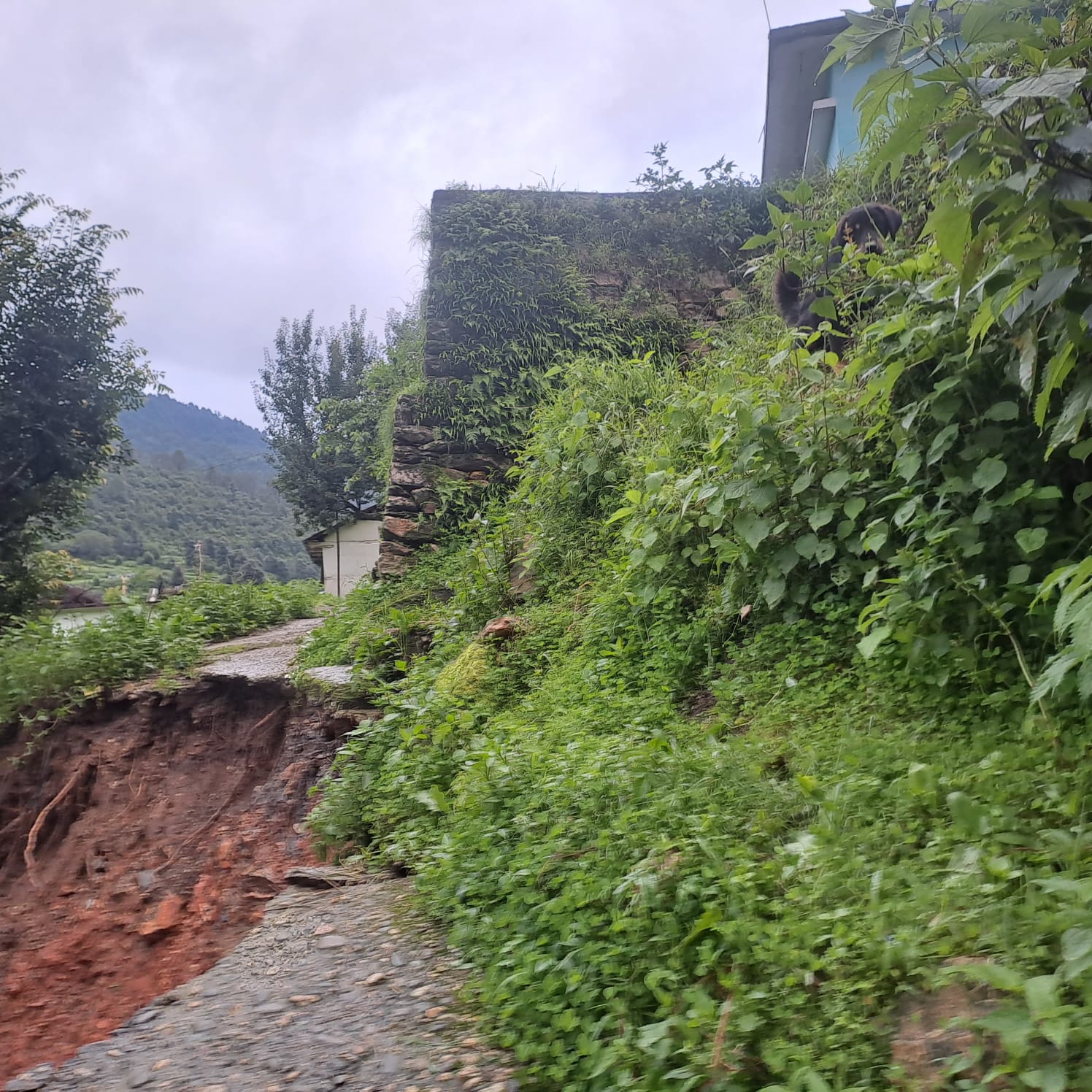 बस के ऊपर भी आया मलवा