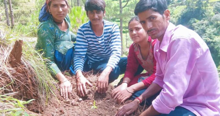 हरेला पर्व के उपलक्ष्य में नया सवेरा जन सेवा संस्था के द्वारा चलाया गया वृक्षारोपण अभियान