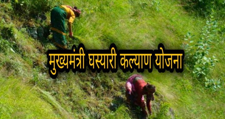 कैसे घासयारी योजना बदल रही है, ग्रामीण महिलाओं का जीवन?