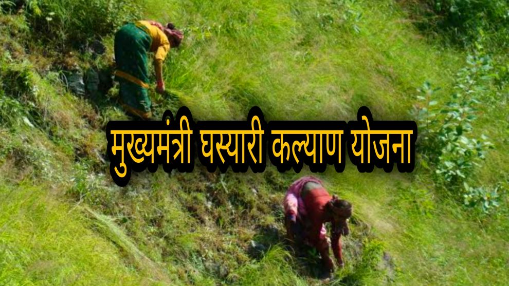 कैसे घासयारी योजना बदल रही है, ग्रामीण महिलाओं का जीवन