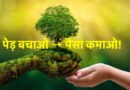 उत्तराखंड में मिलेगा पेड़ों और खेती से ‘कमाई का नया मौका’
