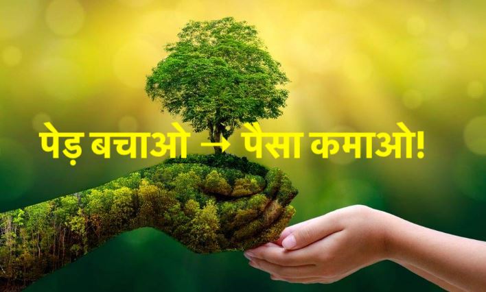 उत्तराखंड में मिलेगा पेड़ों और खेती से ‘कमाई का नया मौका’